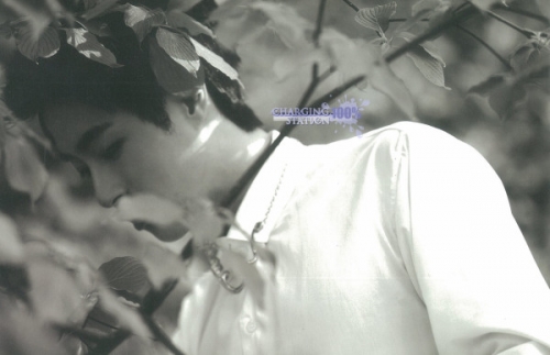 love100percent (3182)