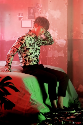 キマヌケツコヌ・jpg