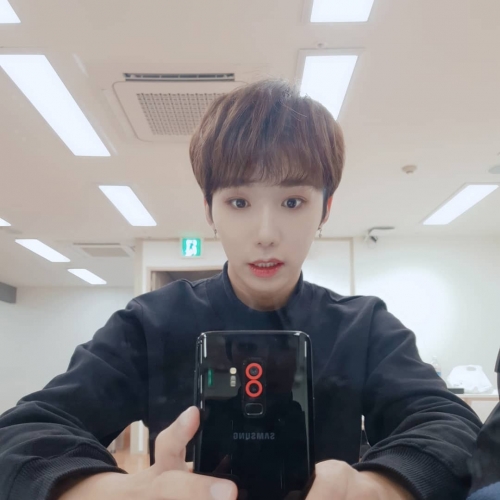 49366422_540521489787679_8292361396762136149_n (1)