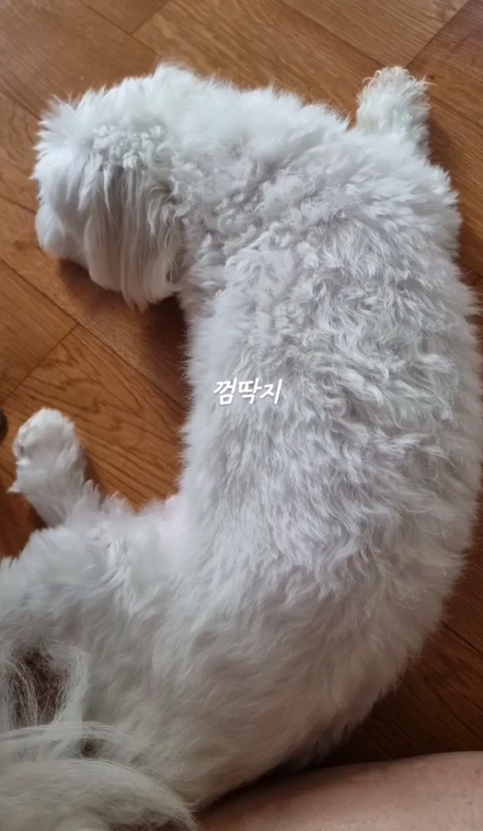220618 ツイッター・インスタグラム訳