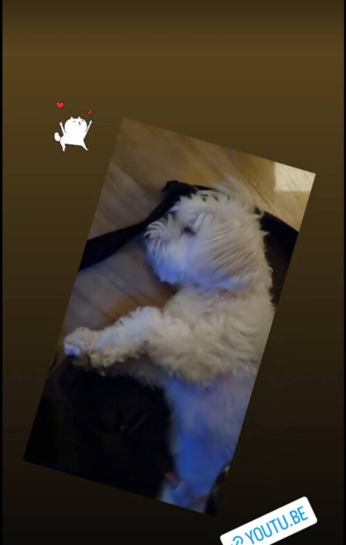220627 ツイッター・インスタグラム訳
