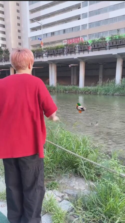 230819　X・インスタグラム訳