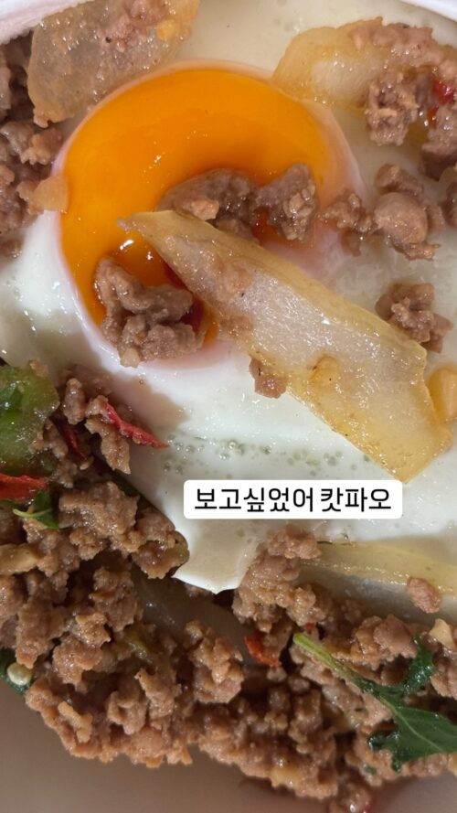 241025 X・インスタグラム訳