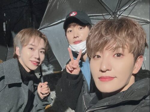 241129 X・インスタグラム訳